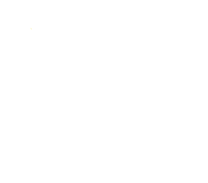 Steuerberater P. Wilschewsky